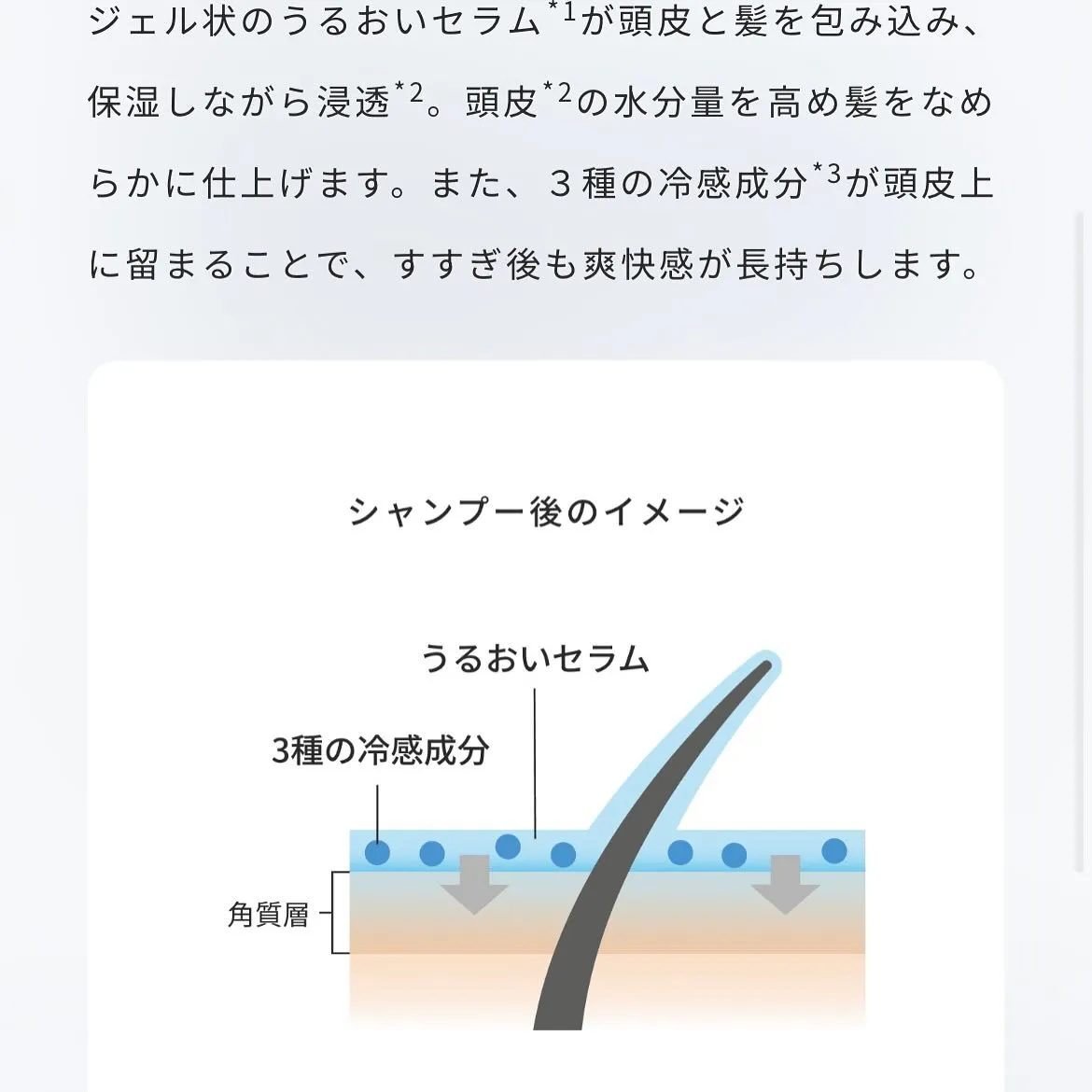 Mr.BABYオススメ商品 THEO スタンダードシャンプー...