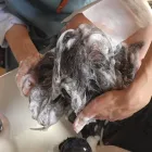 メニュー